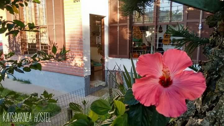 Katsbarnea Hostel Florianópolis Εξωτερικό φωτογραφία